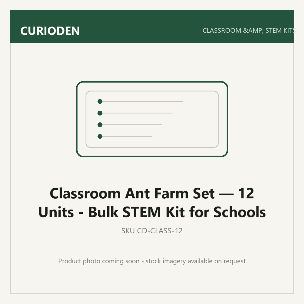 Classroom Ant Farm Set — 12 Units - Bulk STEM Kit for Schools - Classroom & STEM Kits by CurioDen