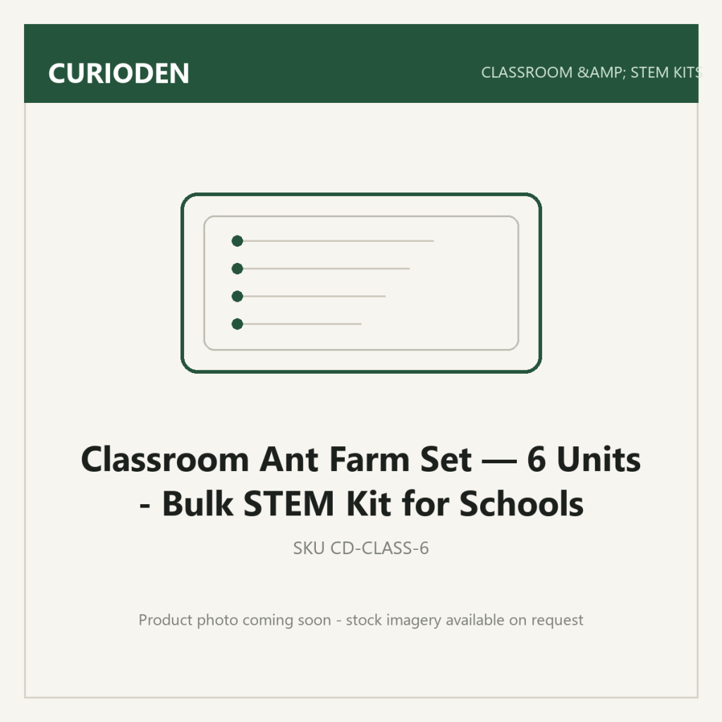 Classroom Ant Farm Set — 6 Units - Bulk STEM Kit for Schools - Classroom & STEM Kits by CurioDen