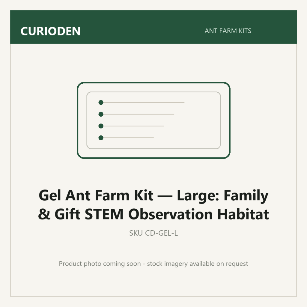 Gel Ant Farm Kit — Large: Family & Gift STEM Observation Habitat - Ant Farm Kits by CurioDen