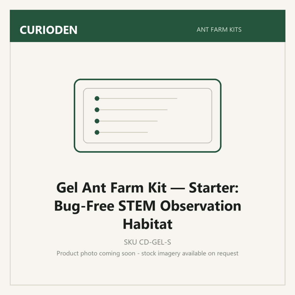 Gel Ant Farm Kit — Starter: Bug-Free STEM Observation Habitat - Ant Farm Kits by CurioDen