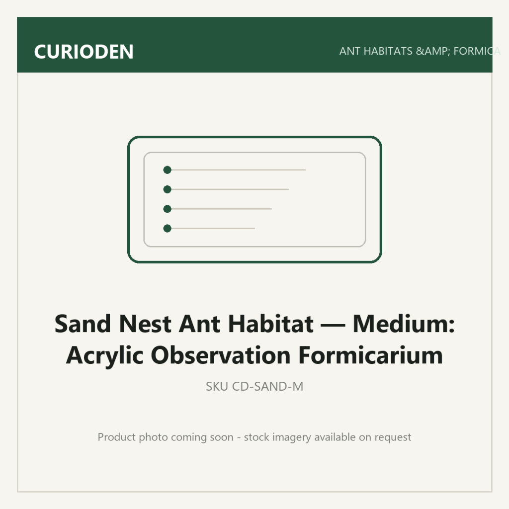 Sand Nest Ant Habitat — Medium: Acrylic Observation Formicarium - Ant Habitats & Formicariums by CurioDen
